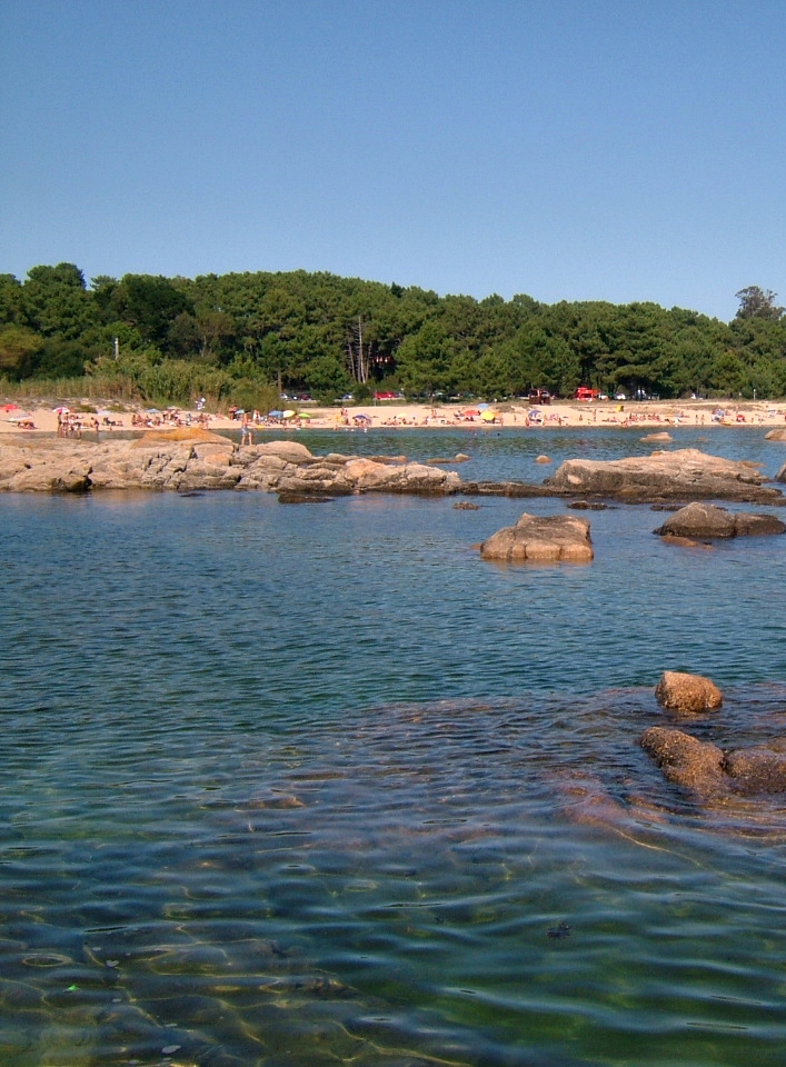 Nadie lo ha visto&nbsp;(2003)