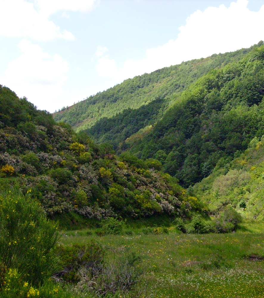 El Valle del Arco Iris&nbsp;(1919)