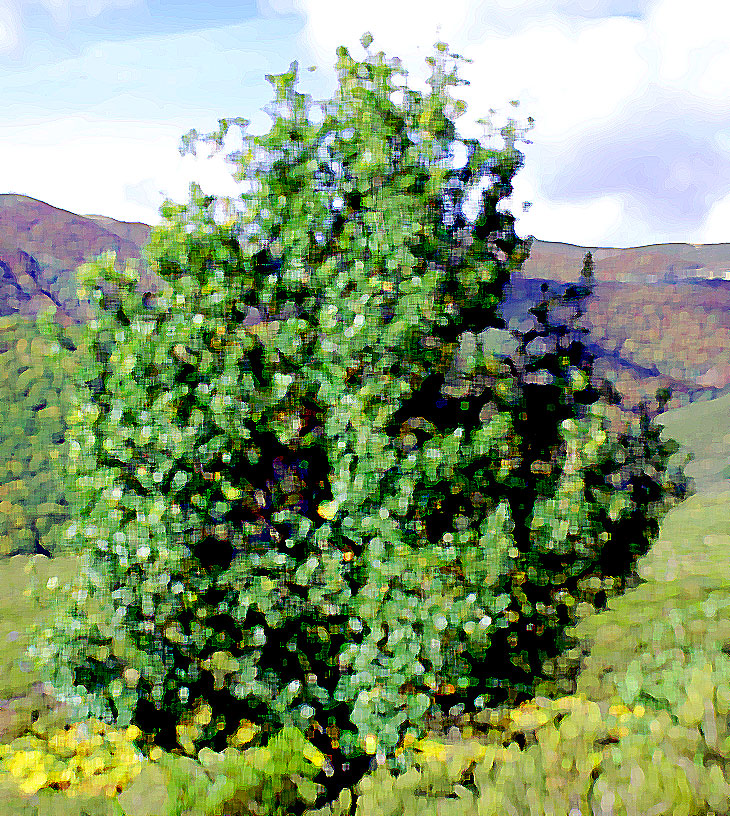 Una aventura de los Siete Secretos&nbsp;(1950)