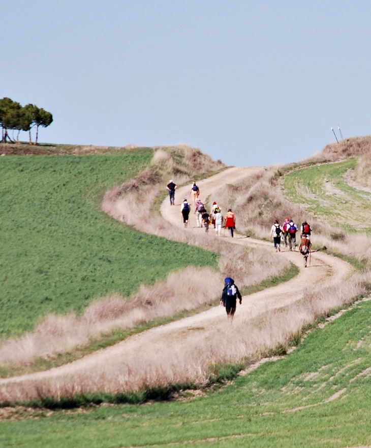 El Camino de Santiago&nbsp;(2009)
