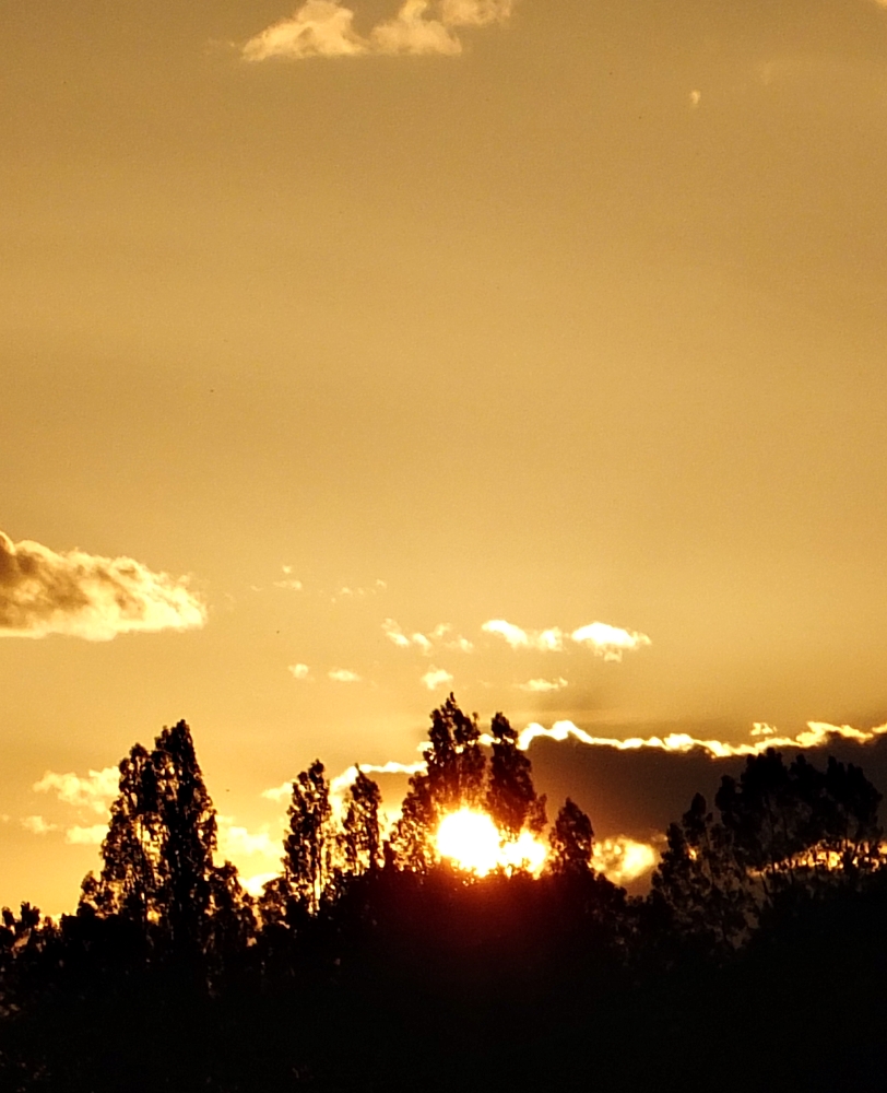 Crepúsculo en Oslo (2004)