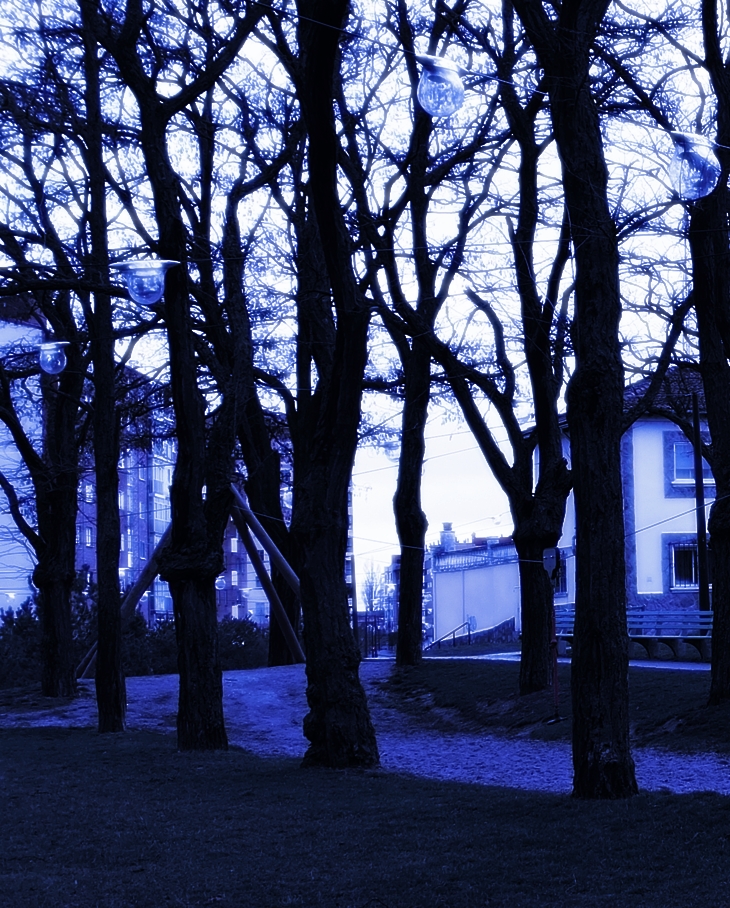 El jardinero nocturno (2006)