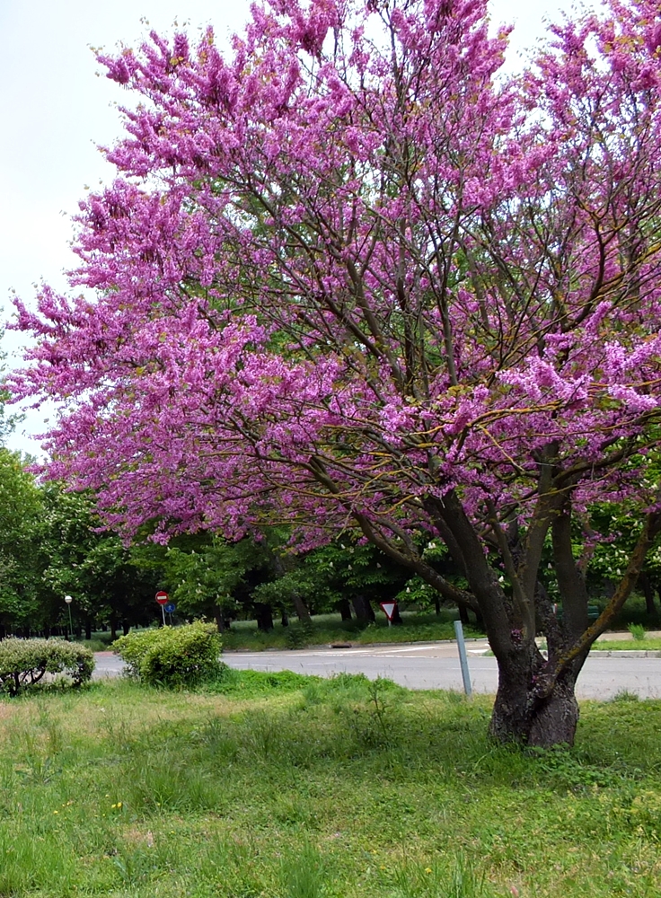 Recuerdos de otra vida&nbsp;(2009)
