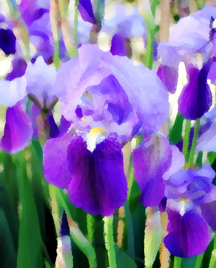 Te regalaré las estrellas&nbsp;(2019)