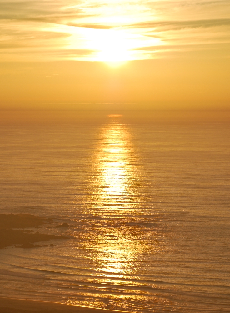 Antonio Gamoneda (1931)