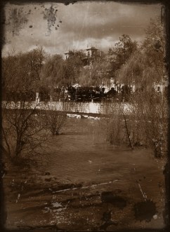 Asesinato Kensington Gardens D