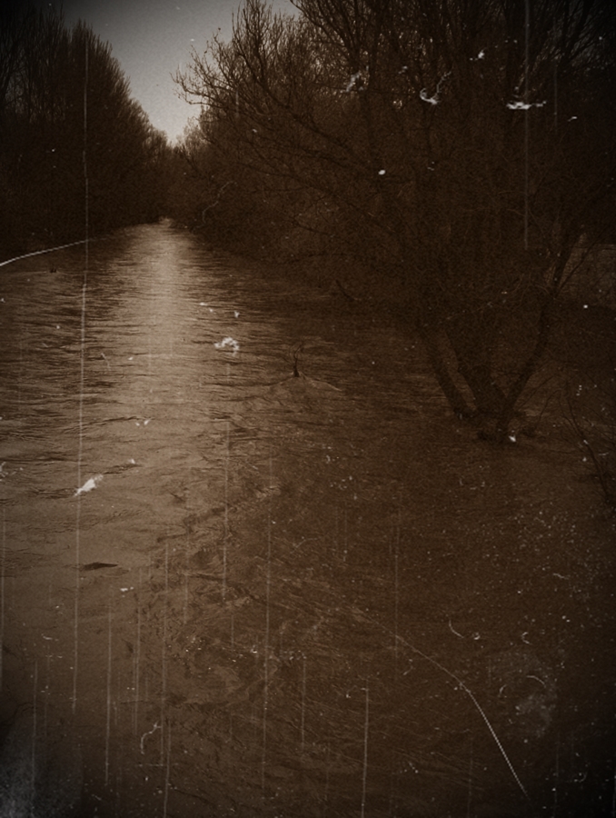 Asesino en la oscuridad&nbsp;(2006)