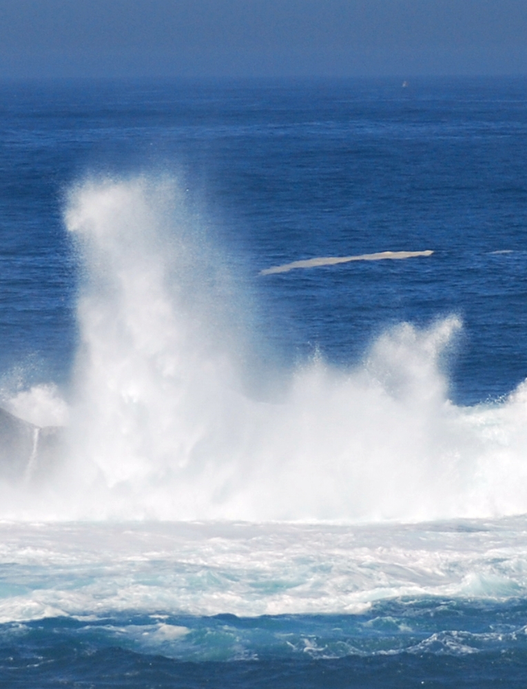 La estrategia del agua&nbsp;(2010)