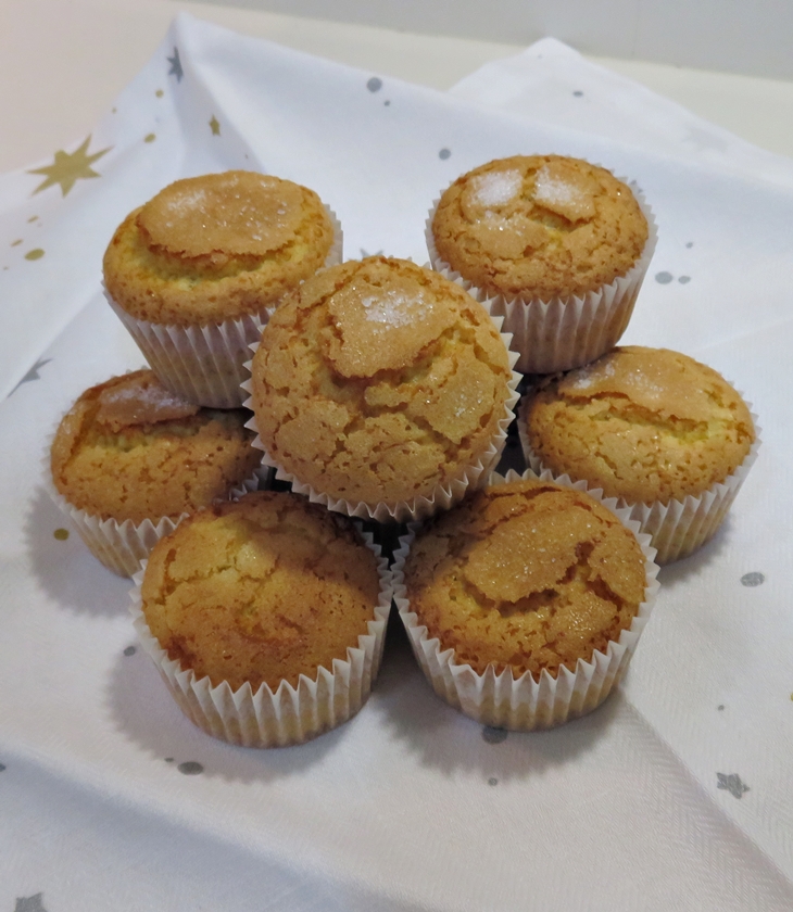 Magdalenas clásicas