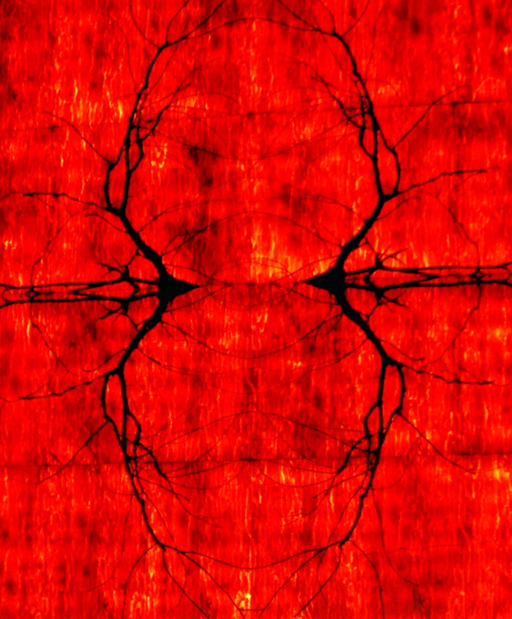 Misterio del diablo&nbsp;danzante