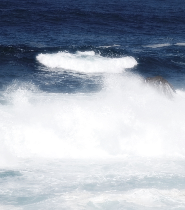 El hombre inquieto&nbsp;(2009)