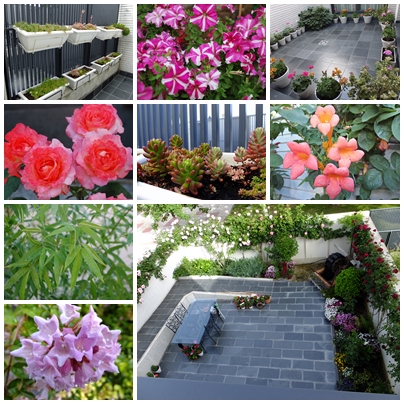 Jardinería, plantas de exterior&nbsp;(1998)