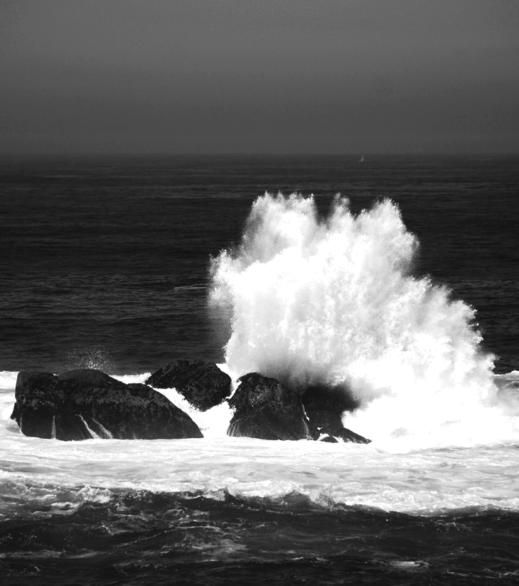 El último paciente del doctor&nbsp;Wilson