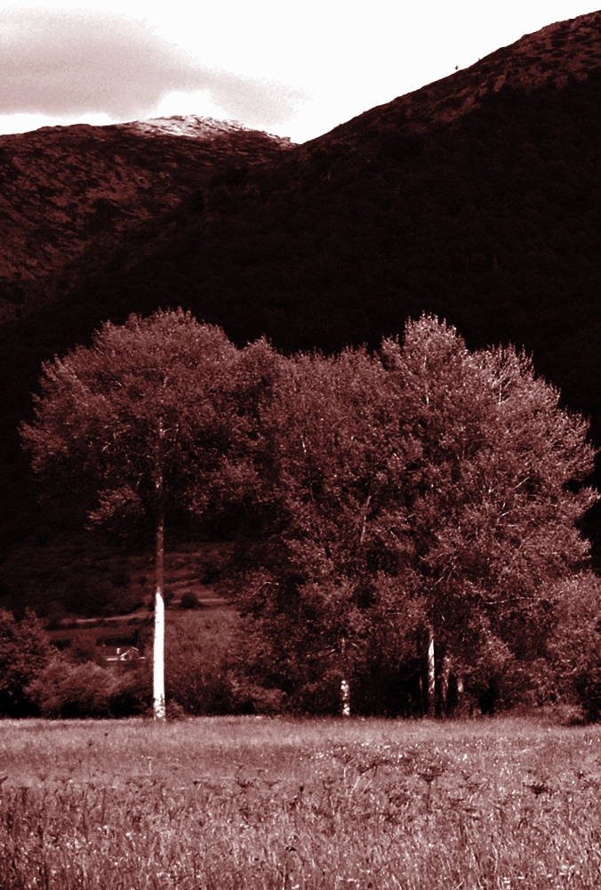 Sangre derramada (2004)