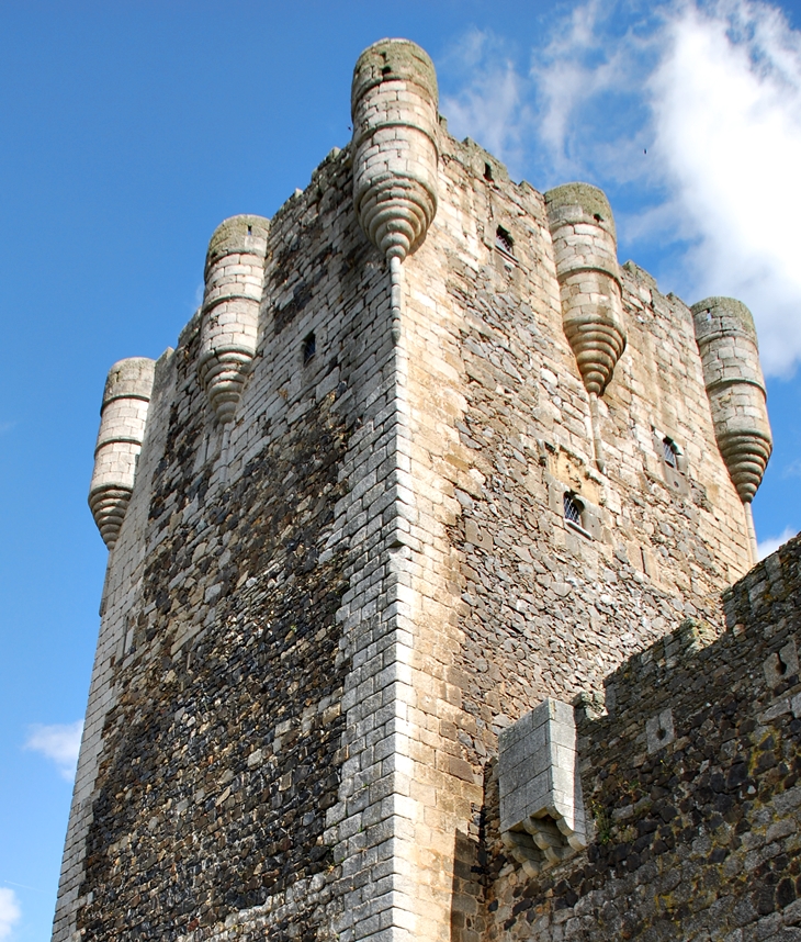 Torres de Malory 10. Un curso divertido&nbsp;(2009)