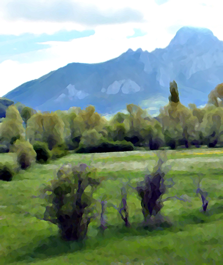 Los Cinco se ven en apuros&nbsp;(1949)