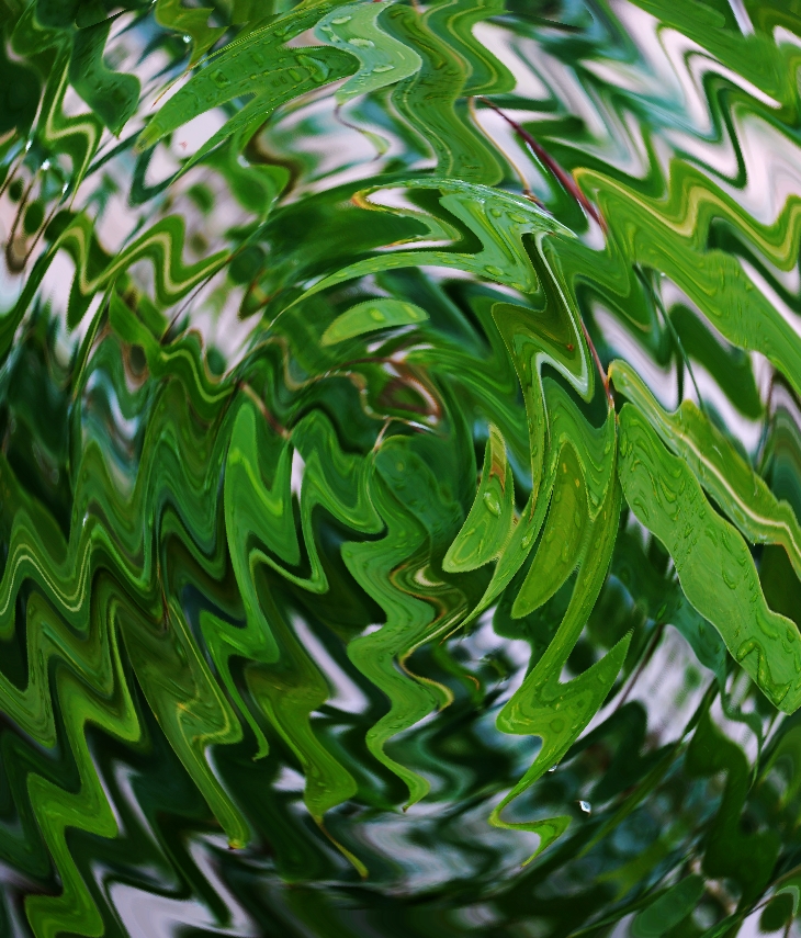 Misterio del loro&nbsp;tartamudo