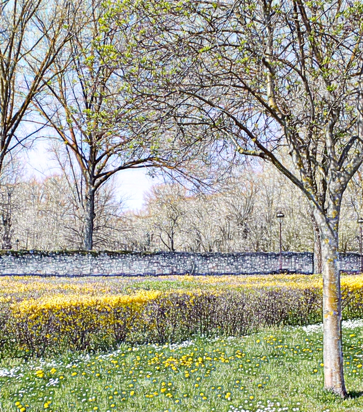 Todos los detectives se llaman&nbsp;Flanagan