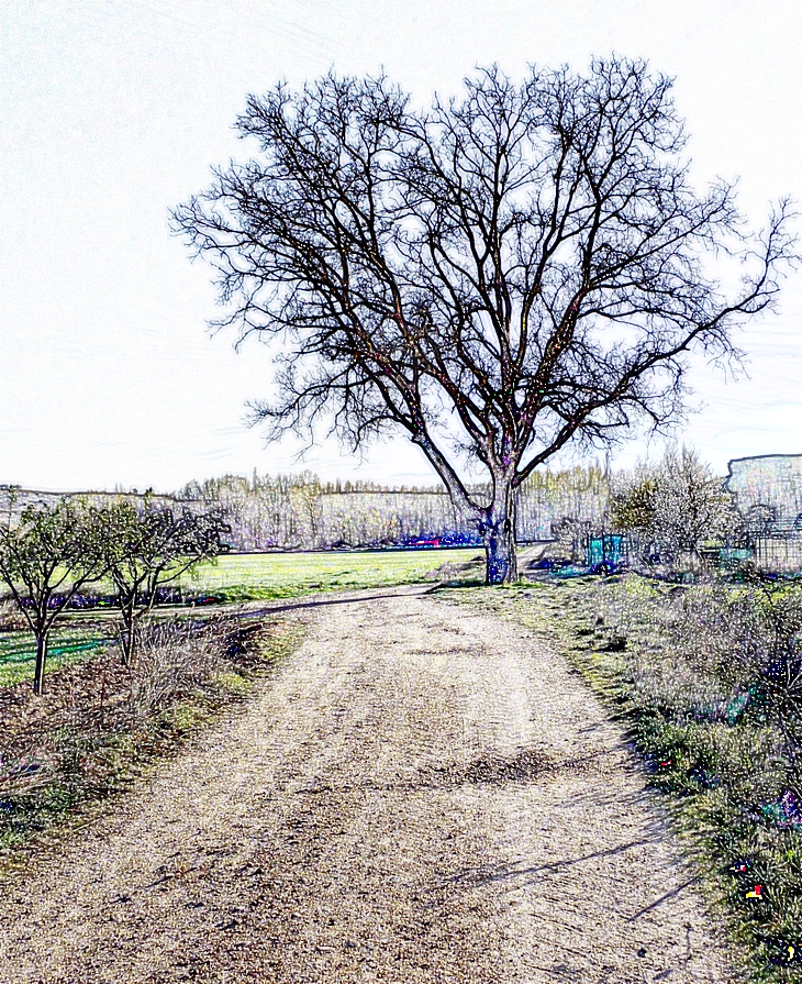 ¡Buen trabajo, Siete Secretos!&nbsp;(1954)