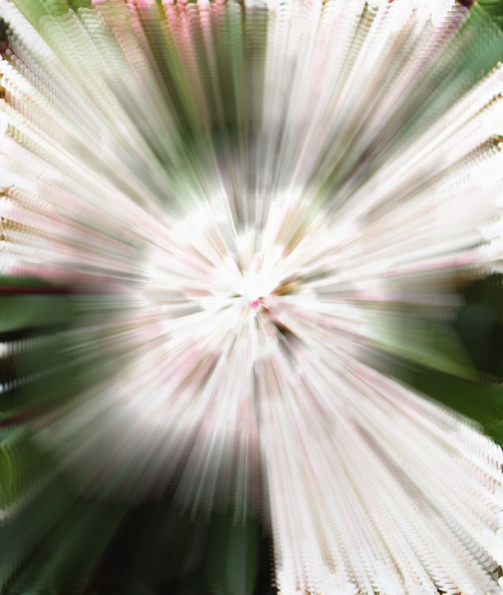 Ceguera asesina (1992)