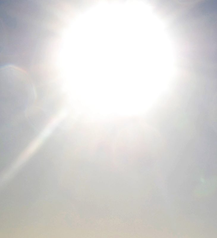 Esta luz. Poesía reunida.&nbsp;(1974-2004)