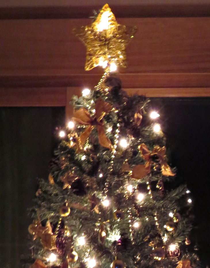 El ladrón de la&nbsp;Navidad