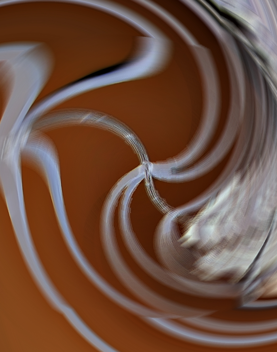 José Ángel Mañas&nbsp;(1971)