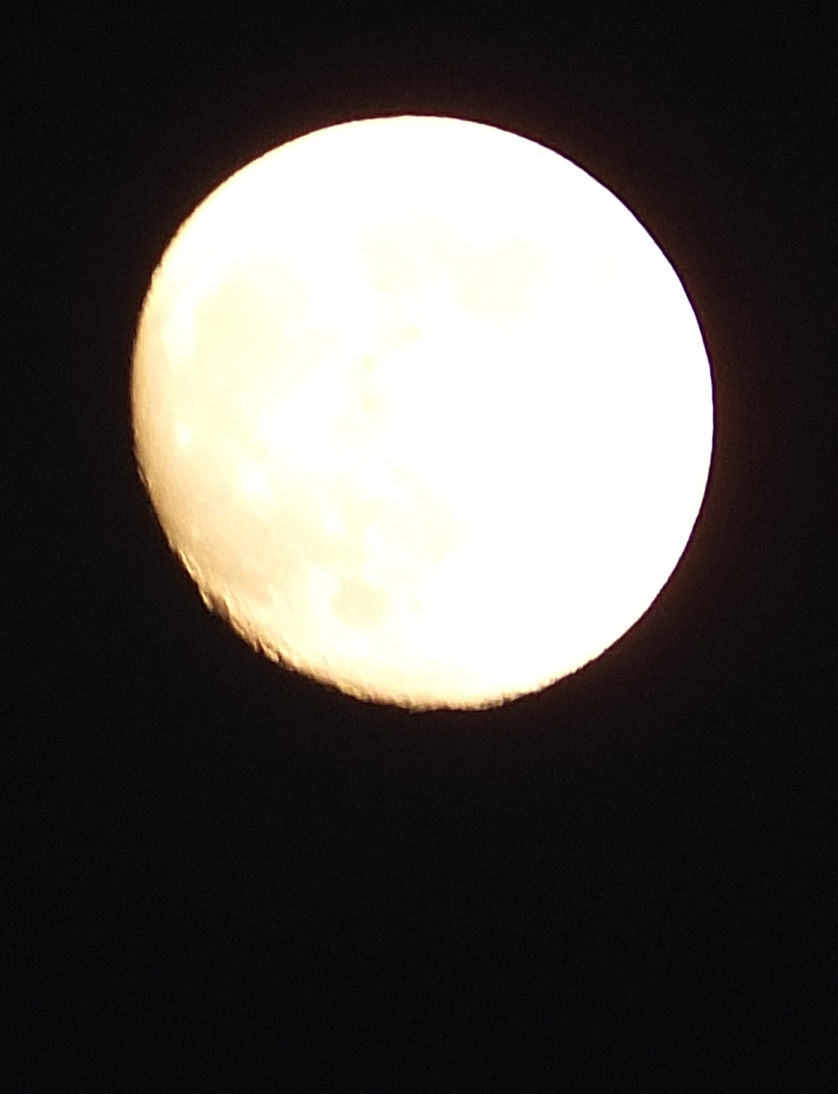 Julio Verne (1828-1905)