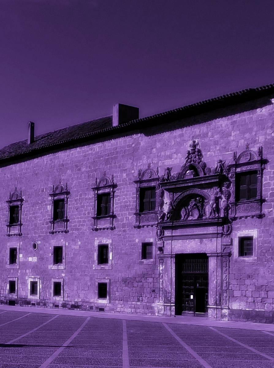 La reina en el palacio de las corrientes de aire (2007)