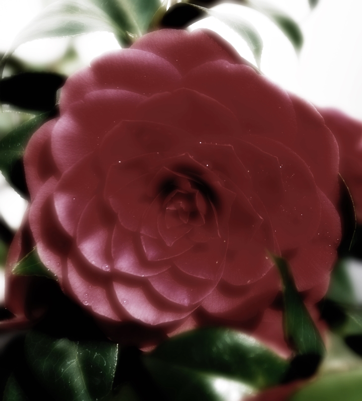 Muerte en La Fenice&nbsp;(1992)