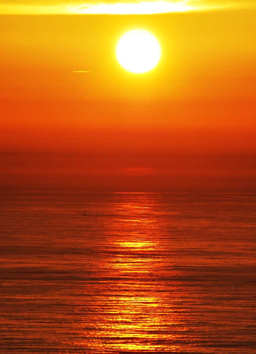 Todo bajo el cielo&nbsp;(2006)