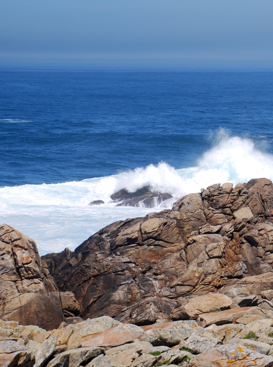 Los Cinco junto al mar&nbsp;(1953)