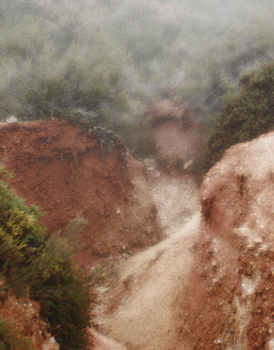 Los Cinco en el páramo misterioso&nbsp;(1954)
