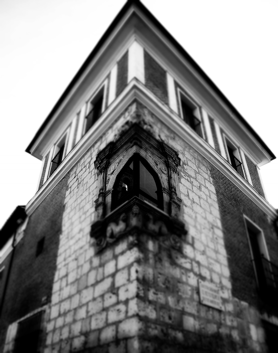 Gustavo Martín Garzo&nbsp;(1948)