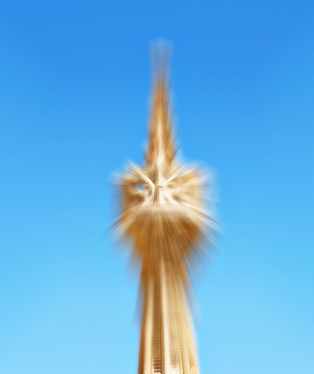 Lisa Scottoline (1955)