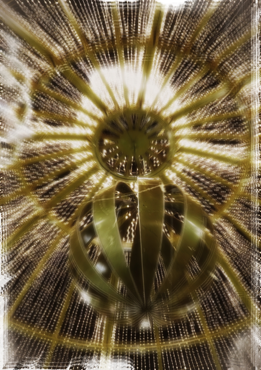 El oro del rey&nbsp;(2000)