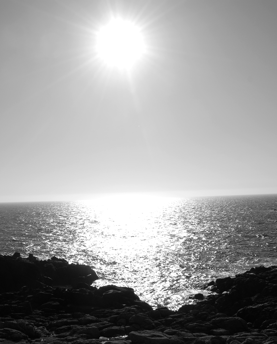 El extraño verano de Tom Harvey&nbsp;(2017)