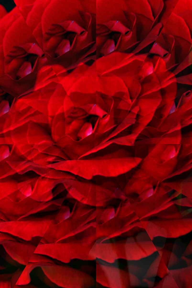 Travesuras de la niña mala&nbsp;(2006)