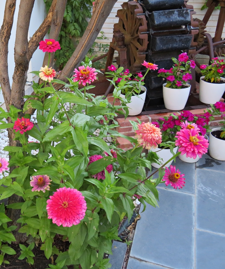 Al final del verano – 20200903