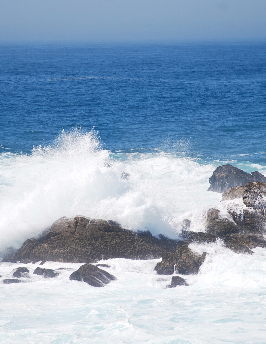 Los Cinco se divierten&nbsp;(1955)