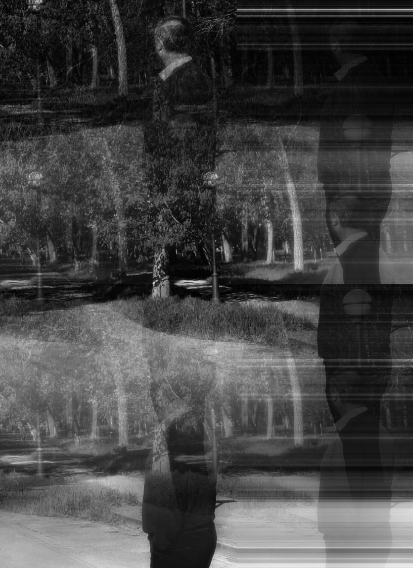 Escondido en las sombras&nbsp;(2005)