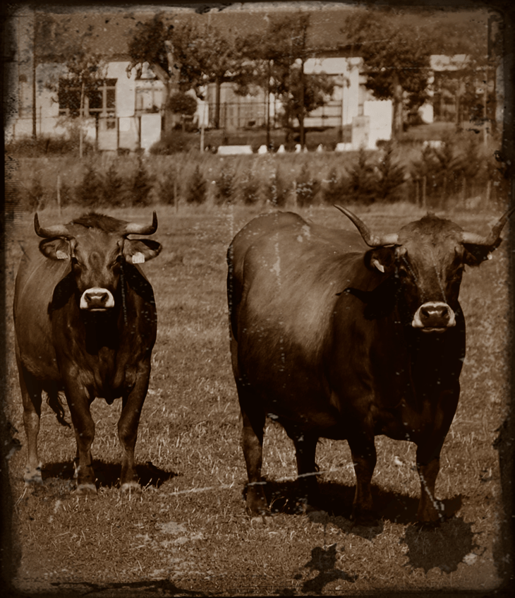 Explotación económica de animales&nbsp;(¿1945?)