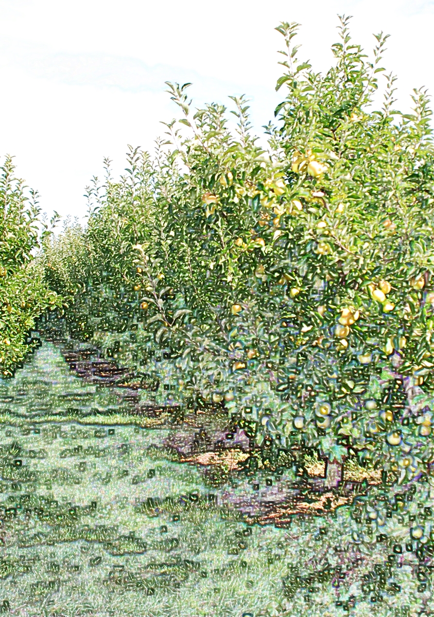 Los formidables chicos del club de Los Siete&nbsp;(1960)