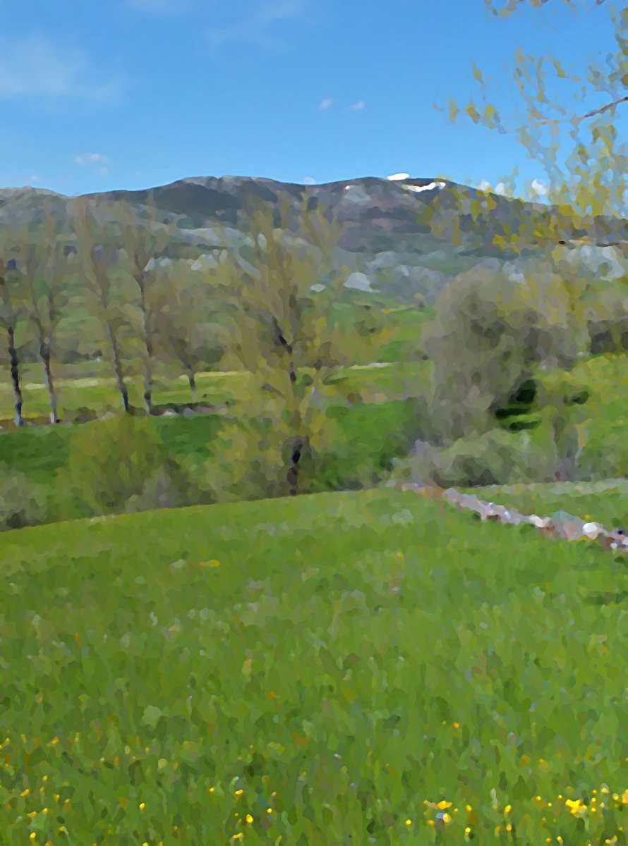 Guillermo el detective&nbsp;(1935)