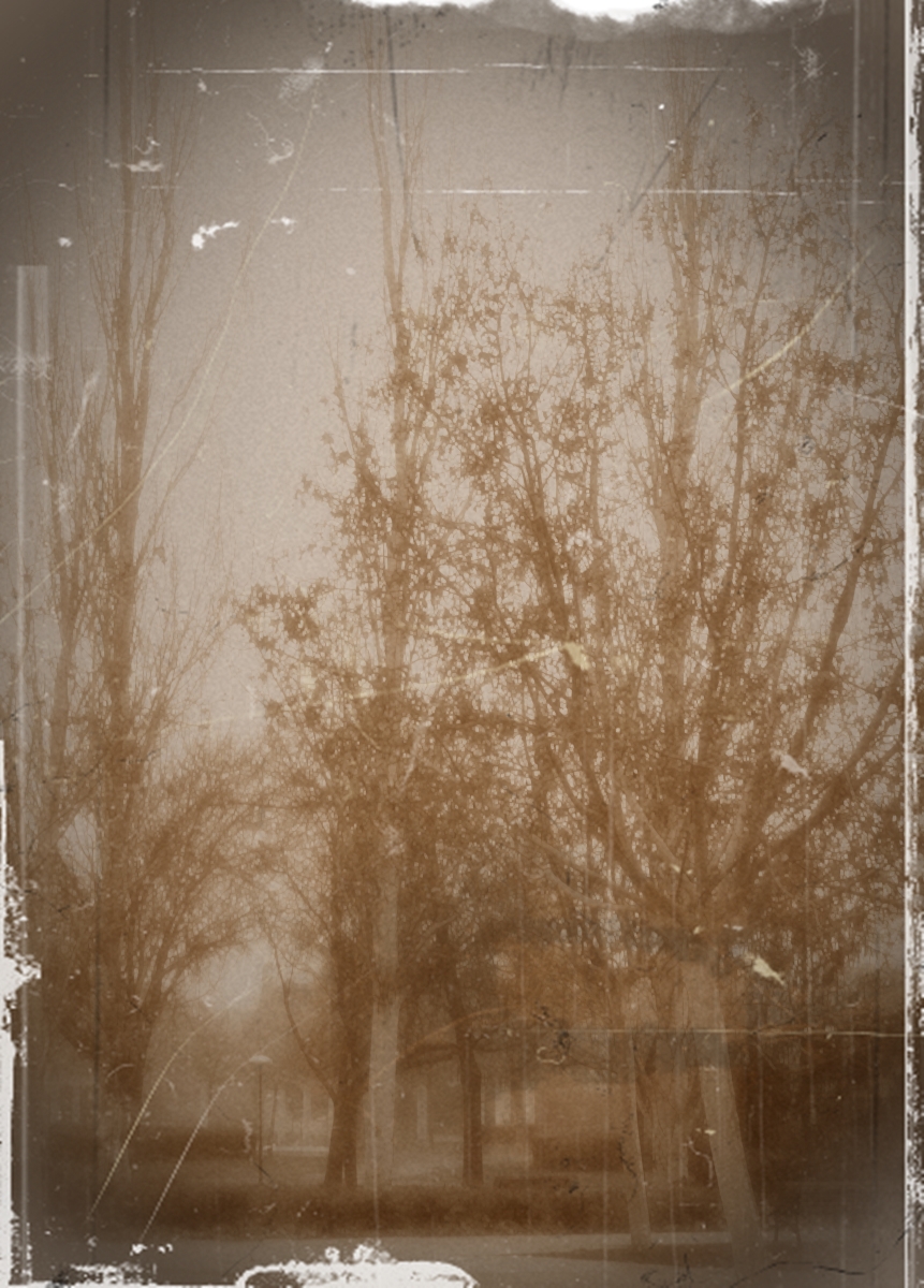 Las raíces del mal&nbsp;(1999)