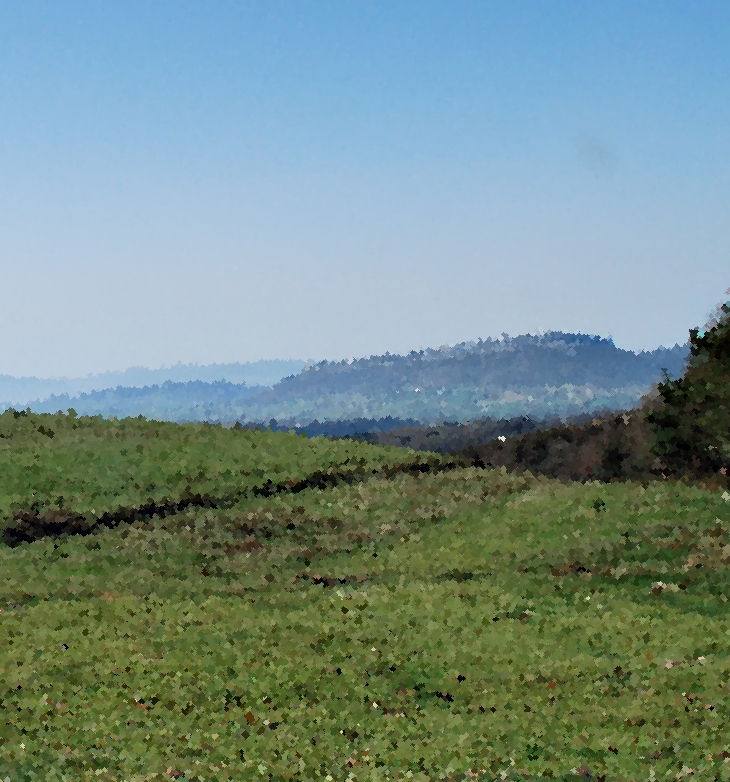 Los Cinco en Billycock Hill&nbsp;(1953)