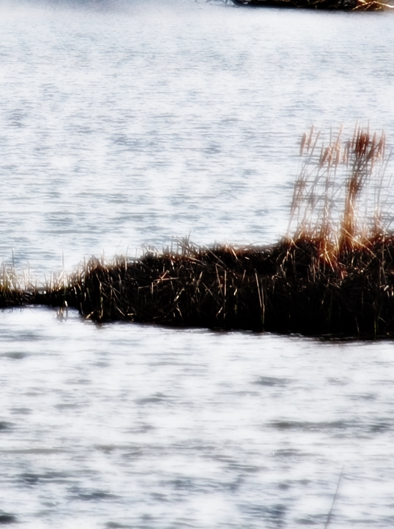 Hermann Hesse (1877-1962)