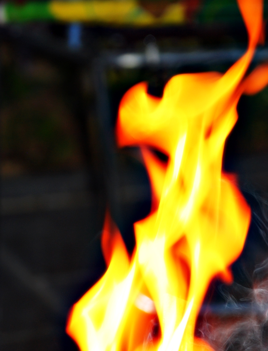 La misteriosa llama de la Reina Loana&nbsp;(2004)