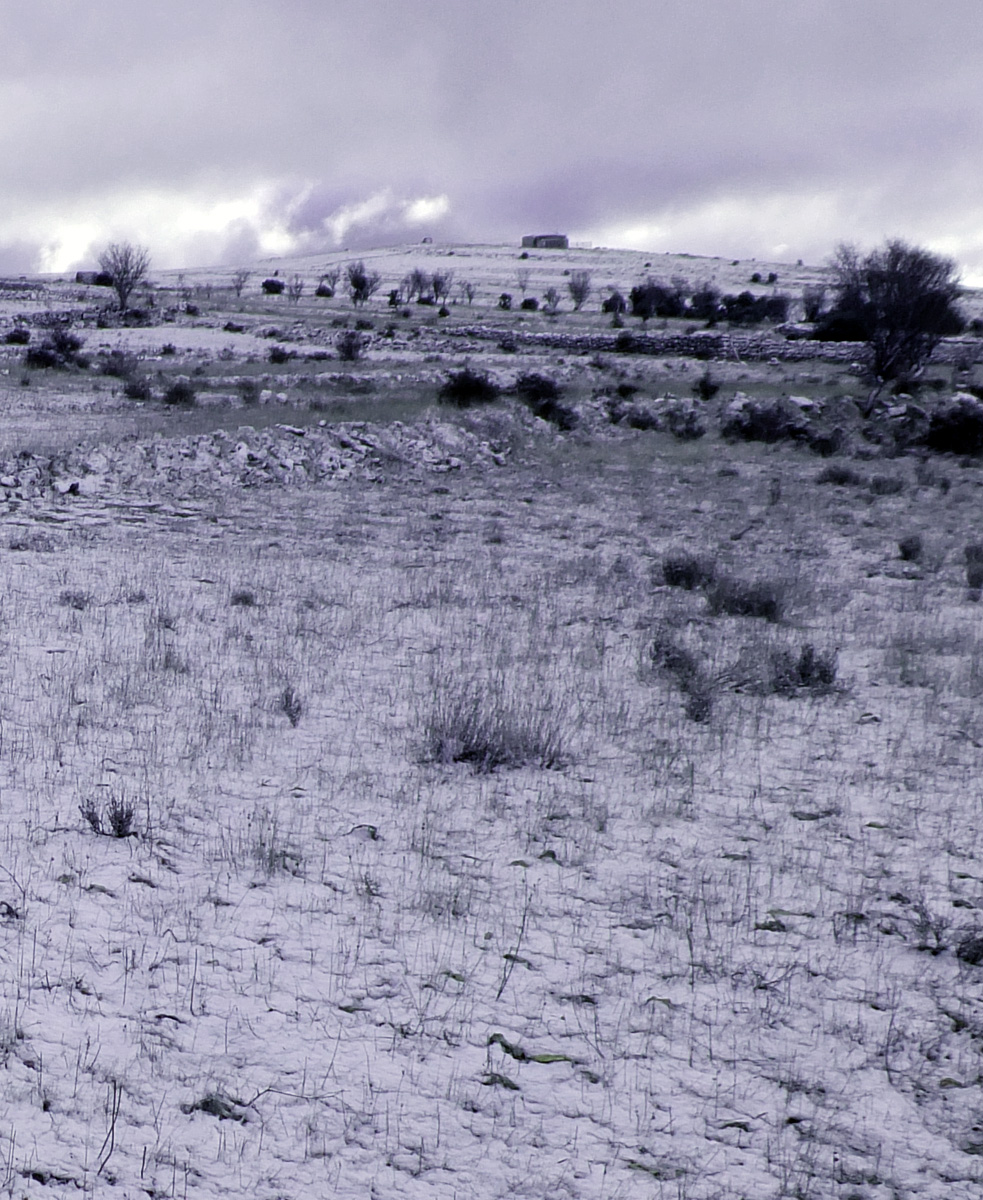 La virgen de hielo&nbsp;(1982)