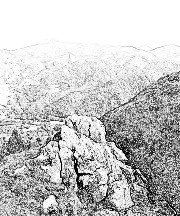 Curso de Historia Natural&nbsp;(1902)